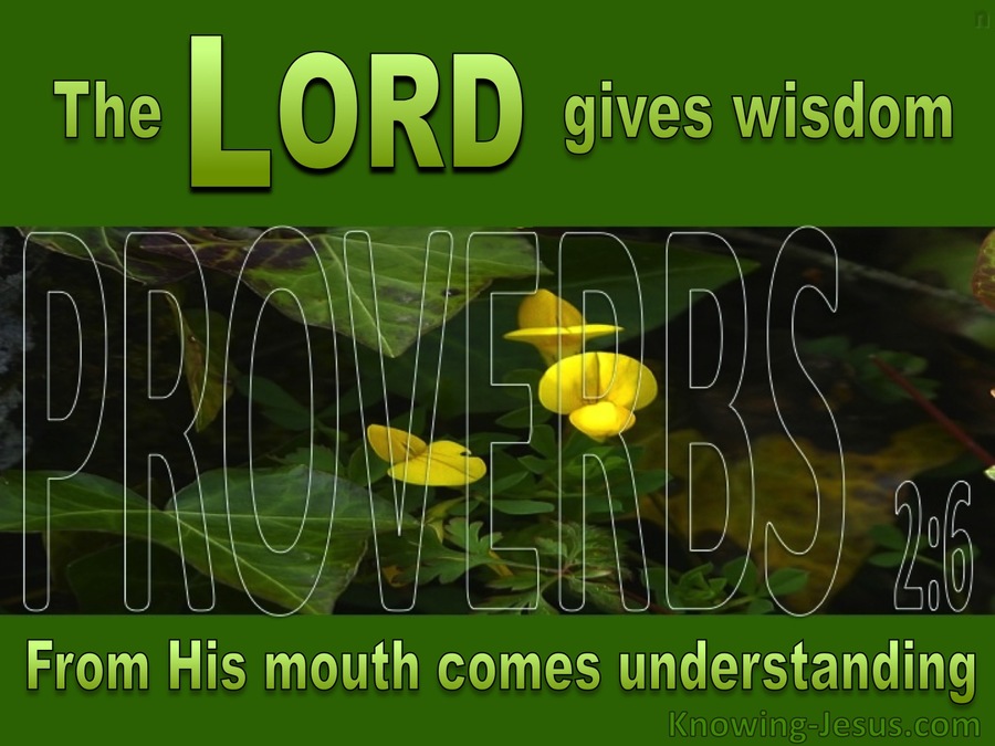 Proverbs 2:6 The Lord Gives Wisdom (green)